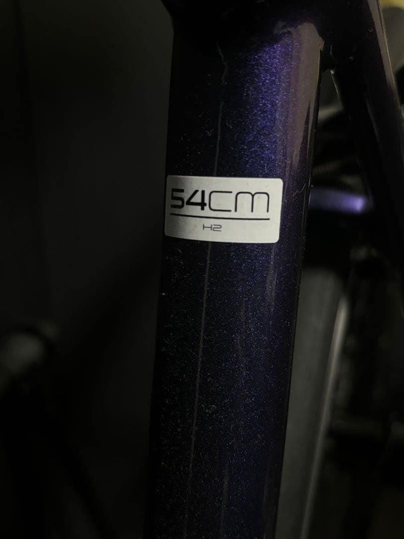 TREK ロードバイク ÉmondaALR5 54サイズレア色