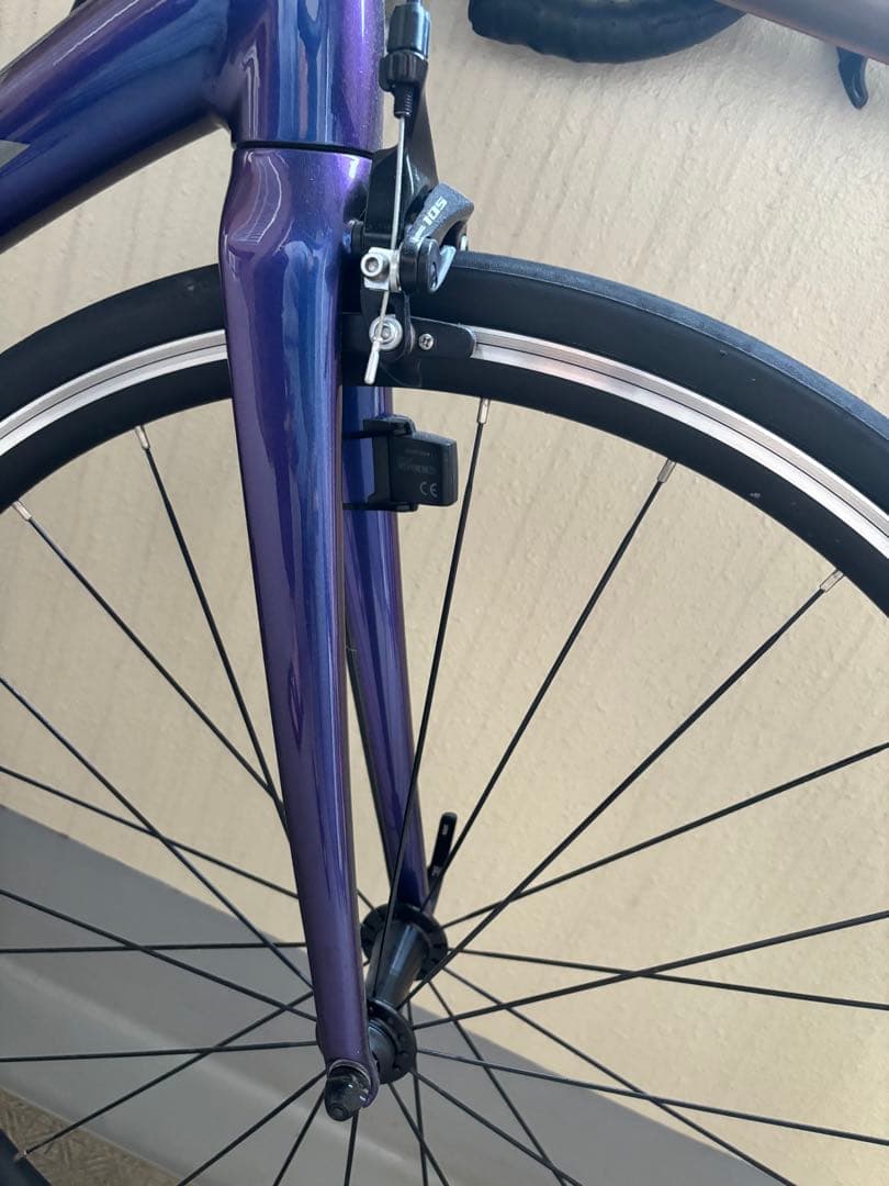 TREK ロードバイク ÉmondaALR5 54サイズレア色