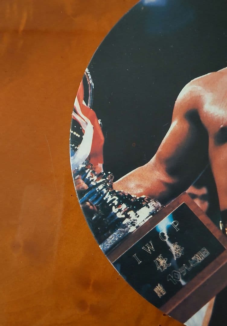 ハルクホーガン】プロレスめんこ ホーガン・猪木・ハンセン・Tマスク