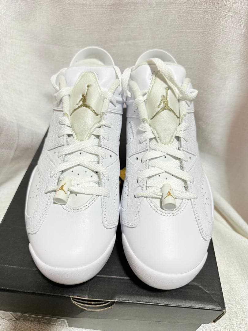 JORDAN RETRO 6 ゴルフシューズ　DV1376 100