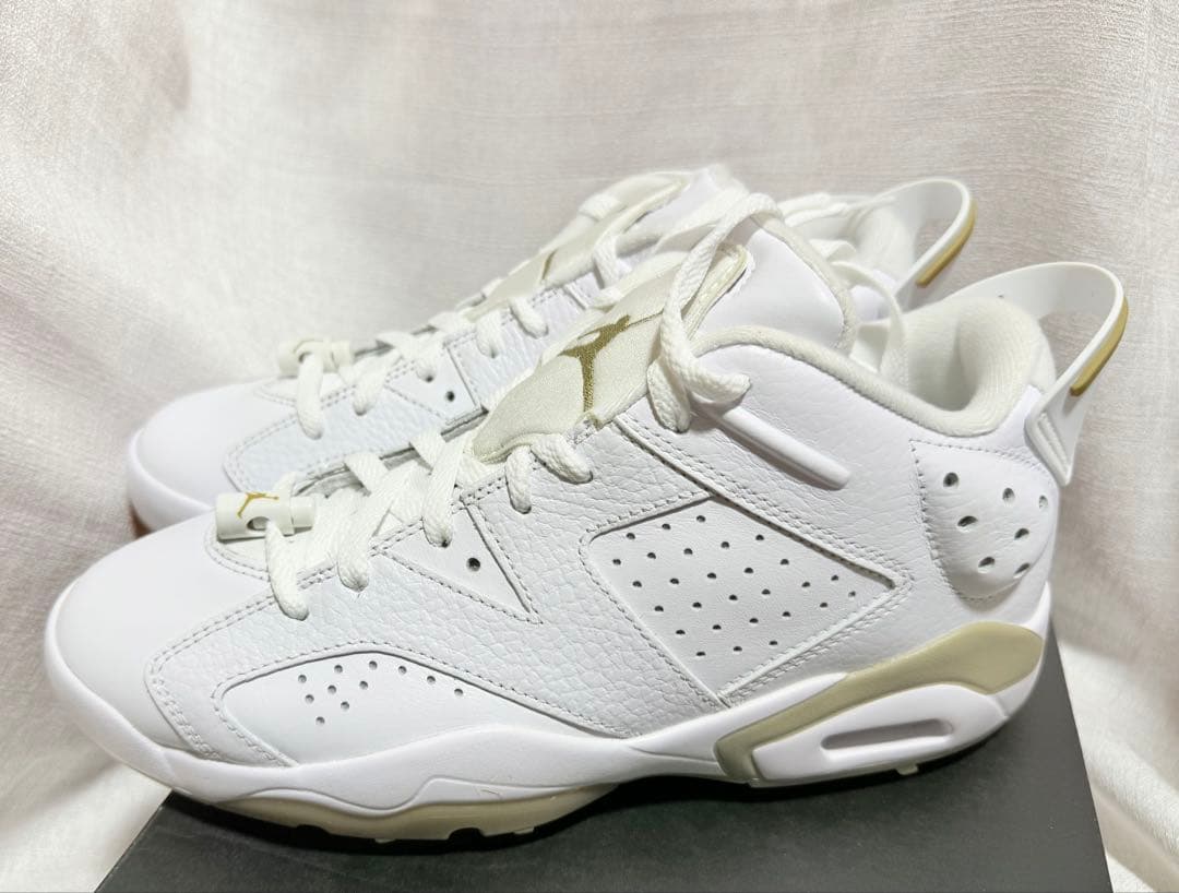JORDAN RETRO 6 ゴルフシューズ　DV1376 100