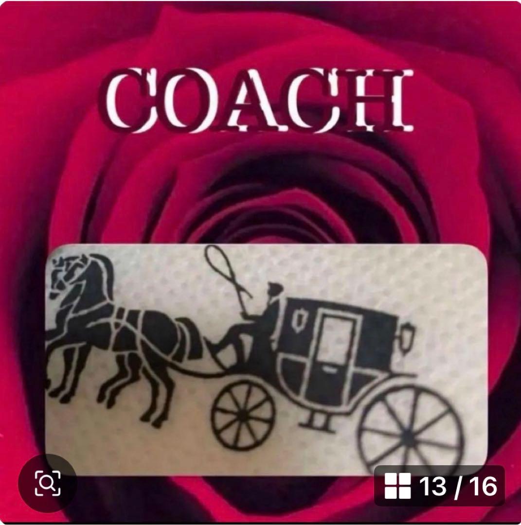 COACH長財布レインボーマルチカラーシグネチャーホワイト.ストラップ付.新品