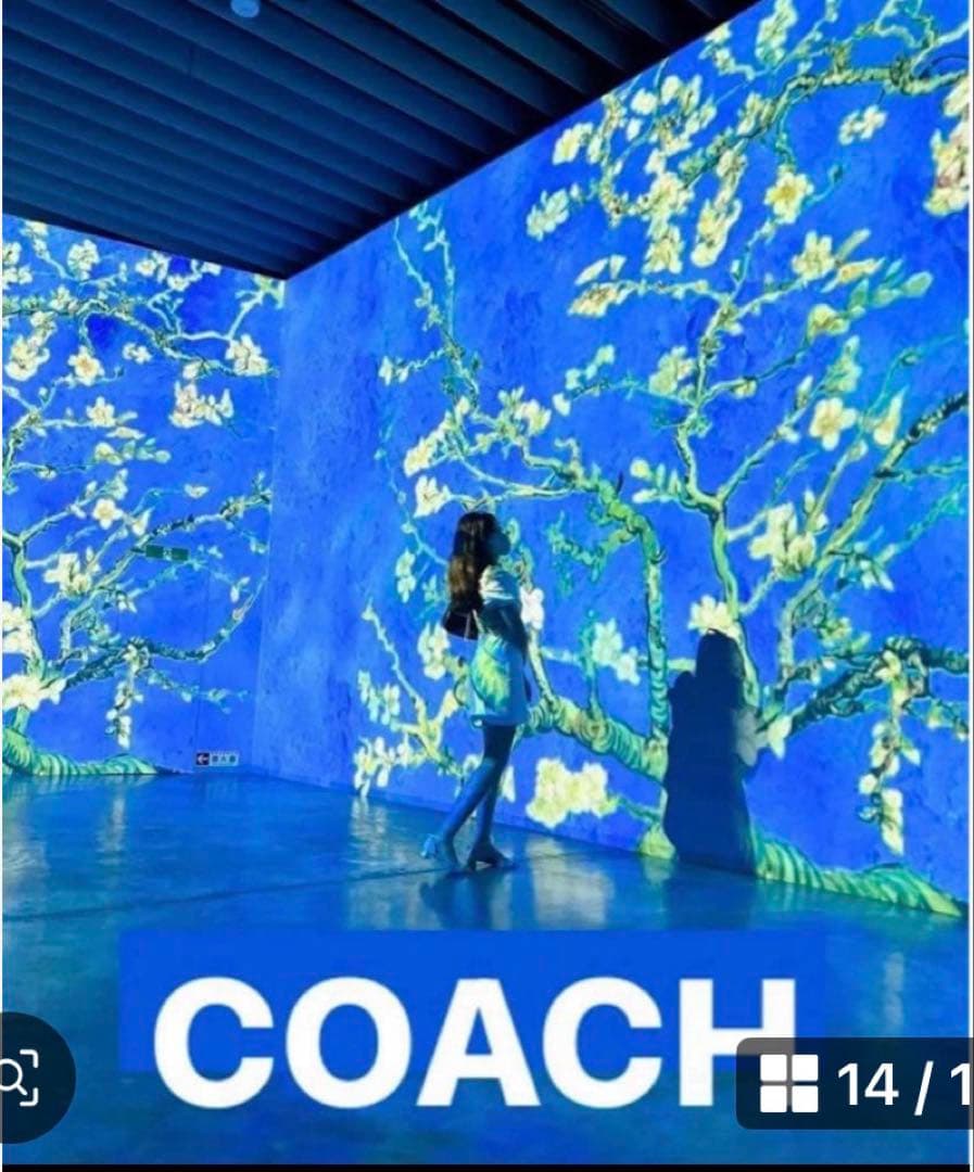 COACH長財布レインボーマルチカラーシグネチャーホワイト.ストラップ付.新品