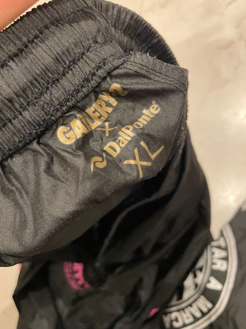 町田GALLERY2オープン記念限定ダウポンチ　上下Dalponte