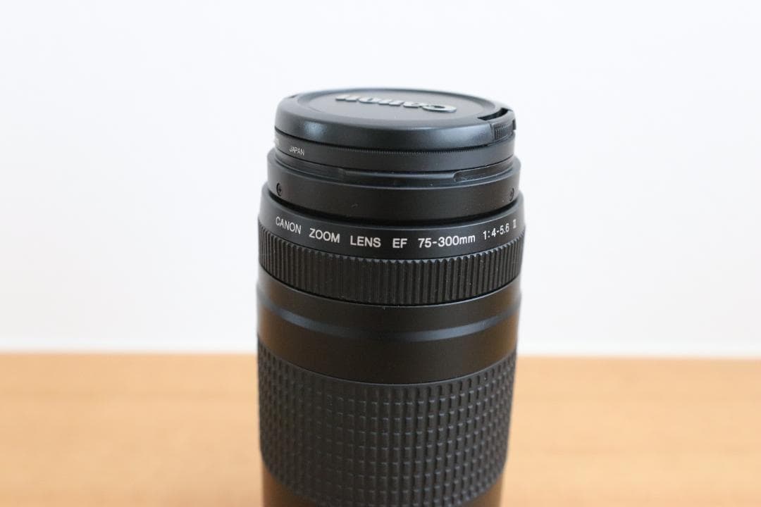 カ*ム様 Canon EF 75-300mm f/4-5.6Ⅱズームレンズ