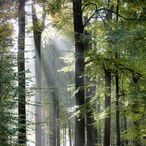 00s OLD GAP ウール ドリズラージャケット ブラック 裏地キルティング