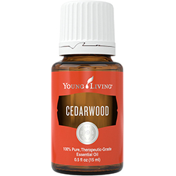 シダーウッド15ml | ヤングリビング精油 | Young Living Essential Oils