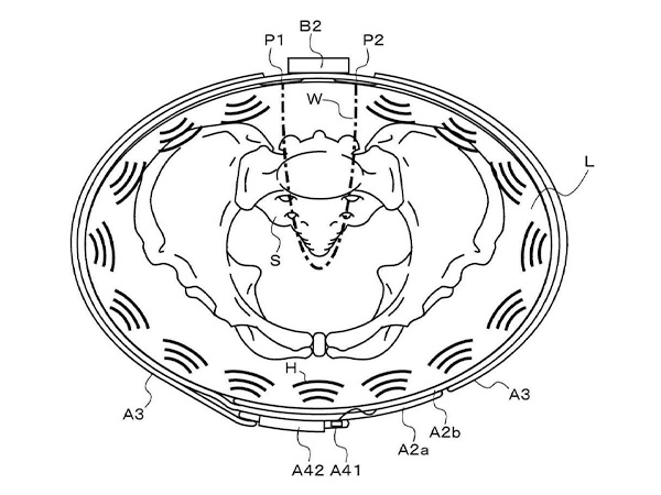 BONE Activeの開発秘話とエビデンス｜株式会社Star'Q