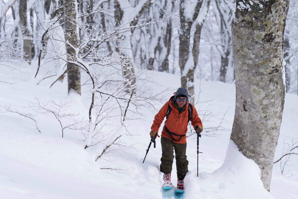 バックカントリー特集｜始め方・魅力・ガイド・ツアー・リスク
