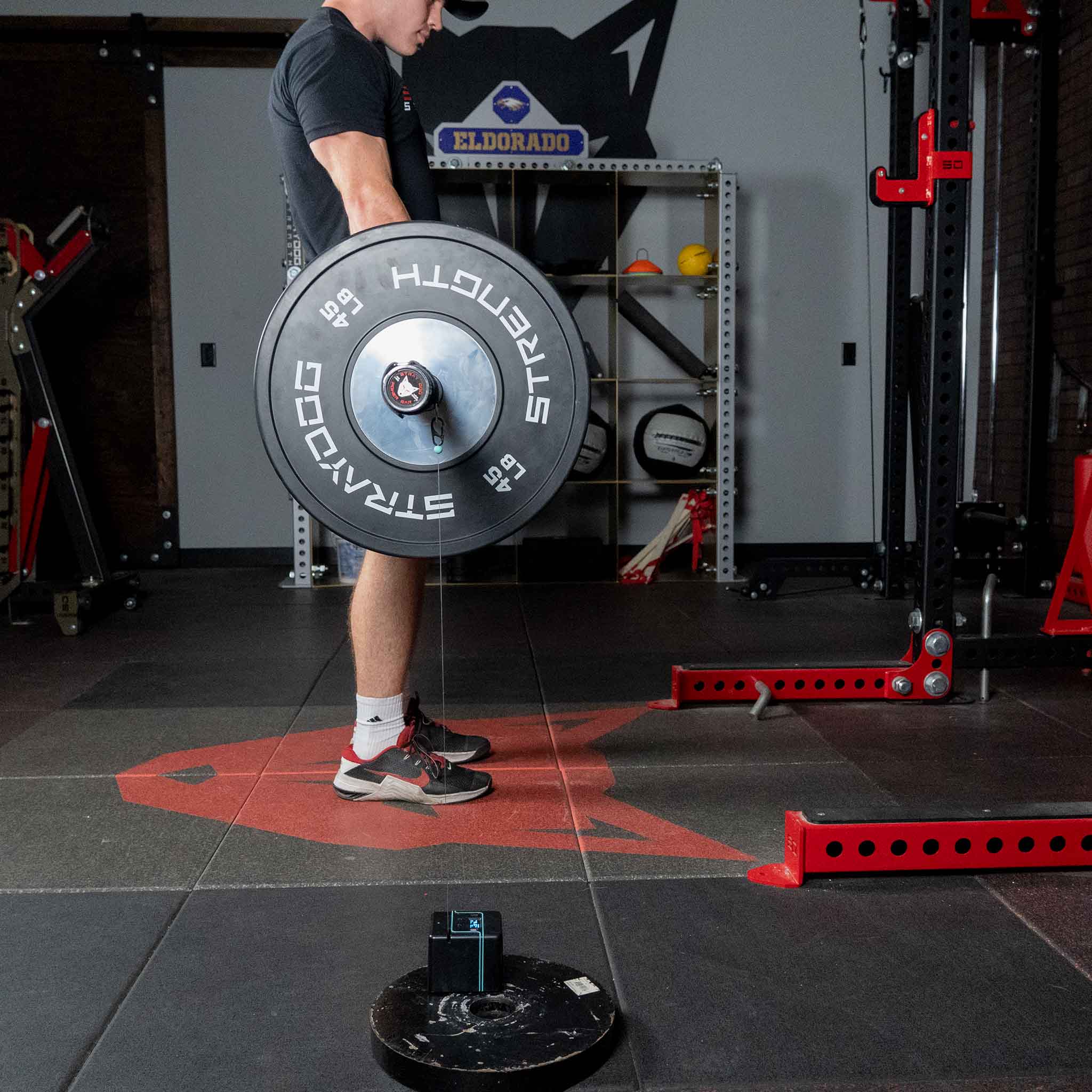 Vitruve Encoder – Stray Dog Strength