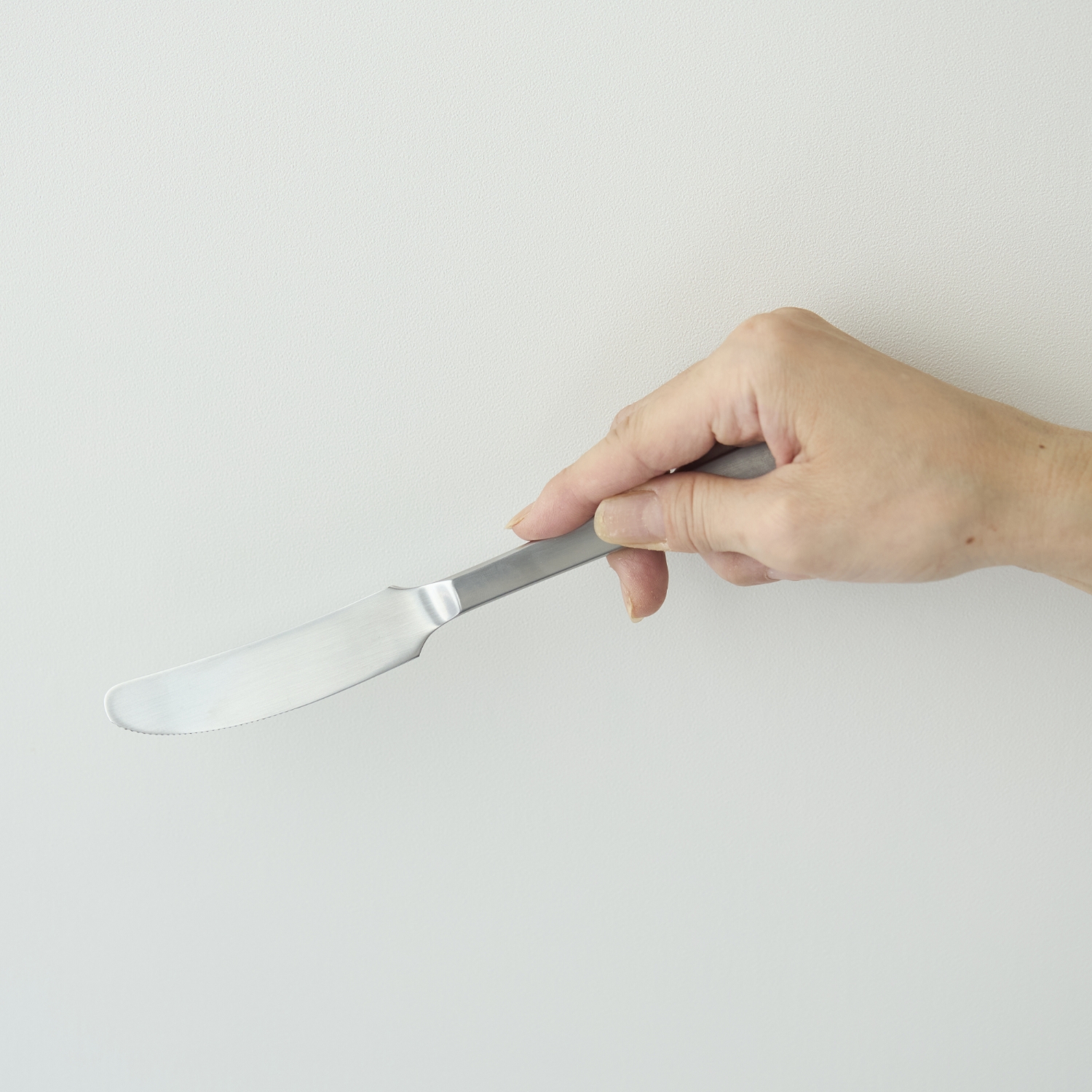 KAY BOJESEN/GRAND PRIX ディナーナイフ -ずっと連れそう1本になる