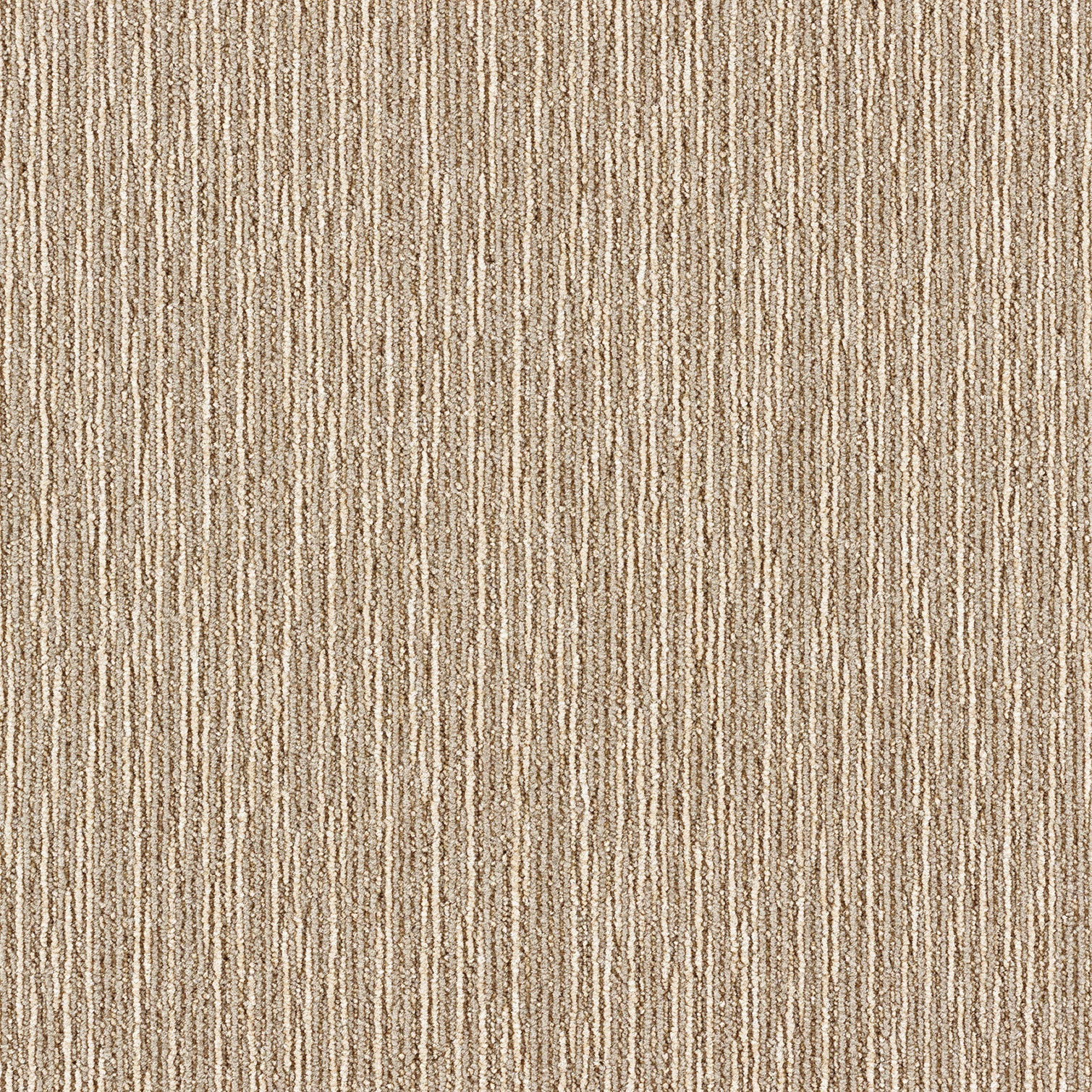 lx1701_rp_5.jpg?v=1714011157&