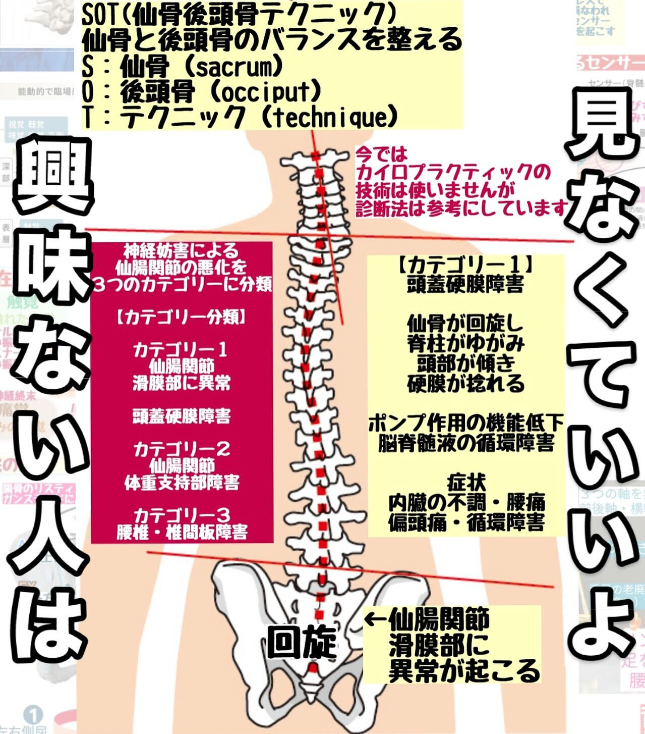 仙骨と後頭骨のバランスを整える“SOTテクニック”とは？】 | ブログ