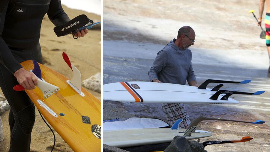 S Wings are Biomimetic Fins