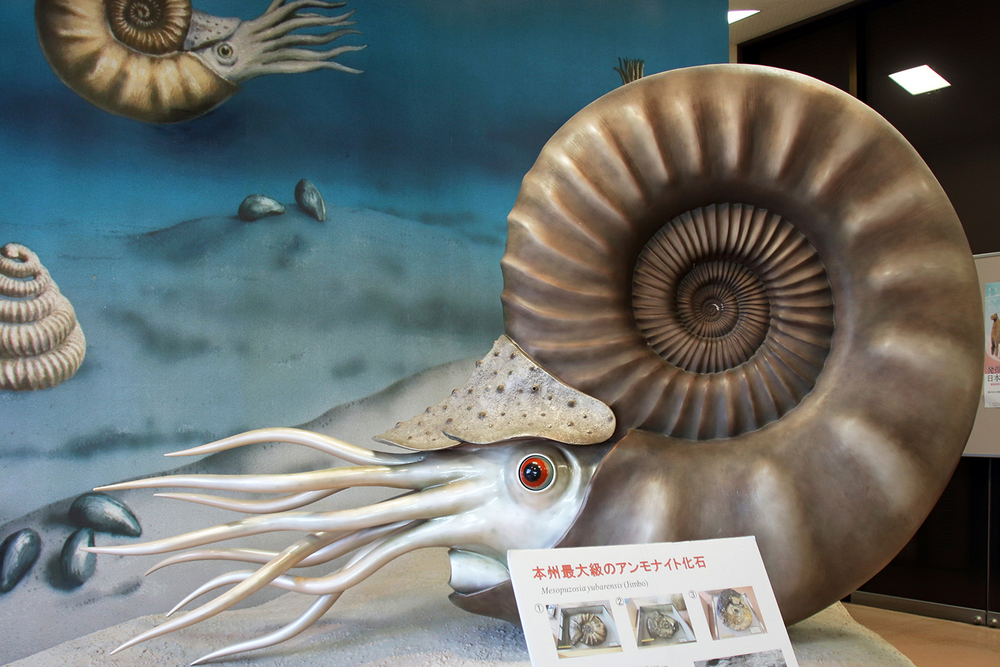 Iwaki Ammonite Center Travel Guides (Fukushima Iwaki-shi