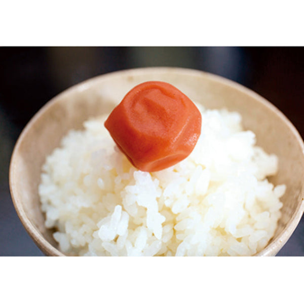 ネッツフーズ 種なし 梅干し 60個 ( うめぼし / ウメボシ