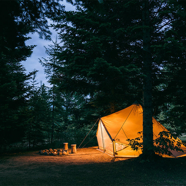 サバティカル モーニンググローリー TC – aandfonlinestore