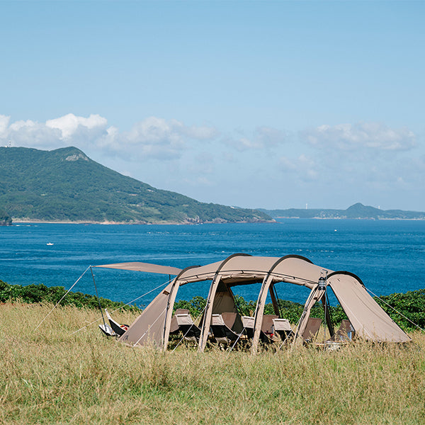 サバティカル アルニカ – aandfonlinestore