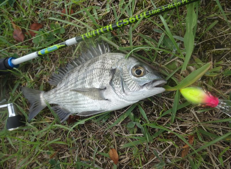 Shoots TWITCH C56UL – AGO-Products