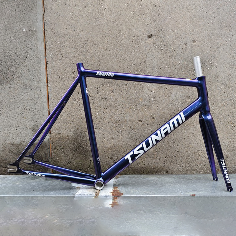 カメレオンフレーム TSUNAMI SNM100 ピストフレームシングルスピード