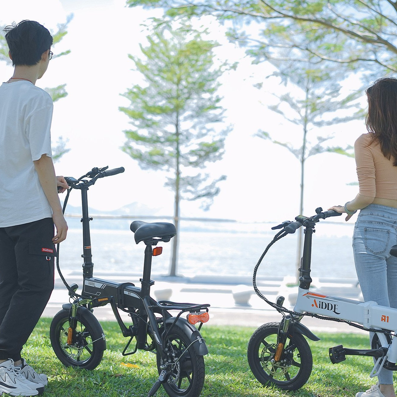 AiDDE 電動アシスト自転車 A1 シティサイクル 墨色