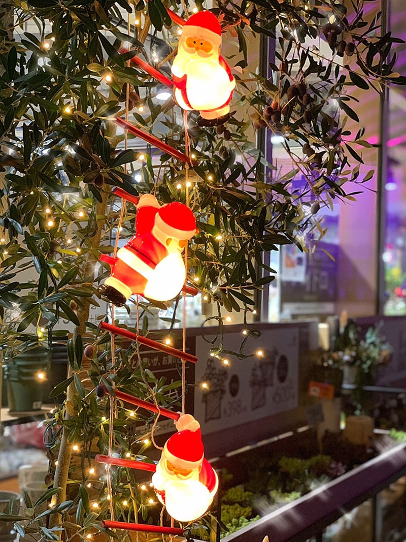 ブローライト はしごサンタ S 3P LIT-BL01L 4975149726103