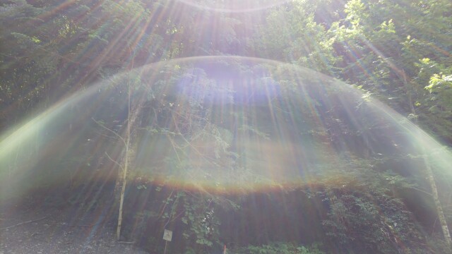 ゼロ磁場ジェネレーター