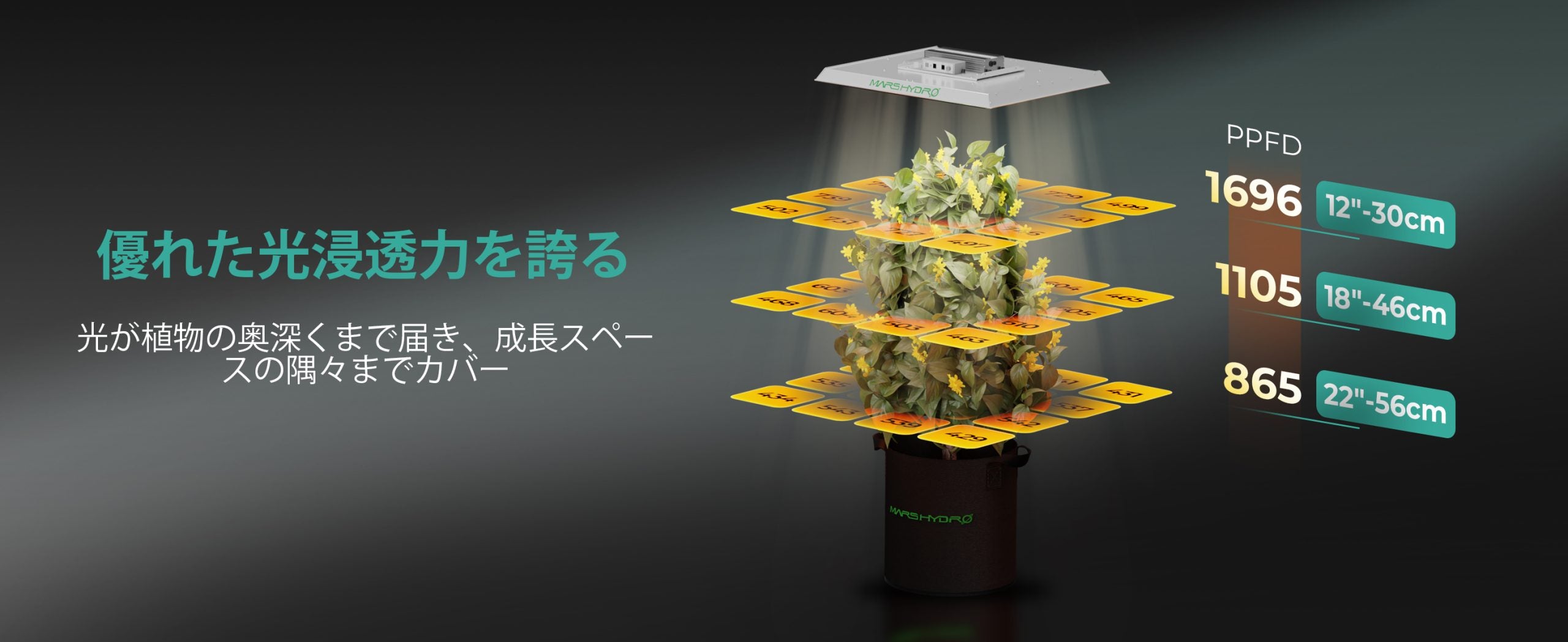 2024モデル MARS HYDRO TSW2000 （範囲120×120cm / 300w） – ALUS HOME