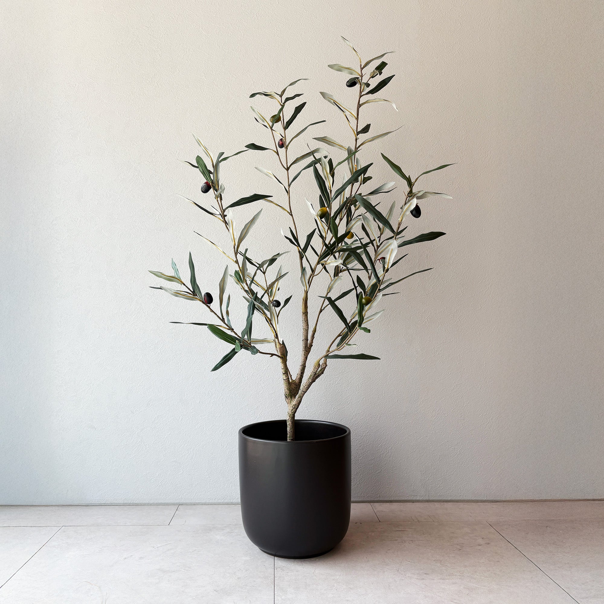 olivetree-90cm1.jpg?v=