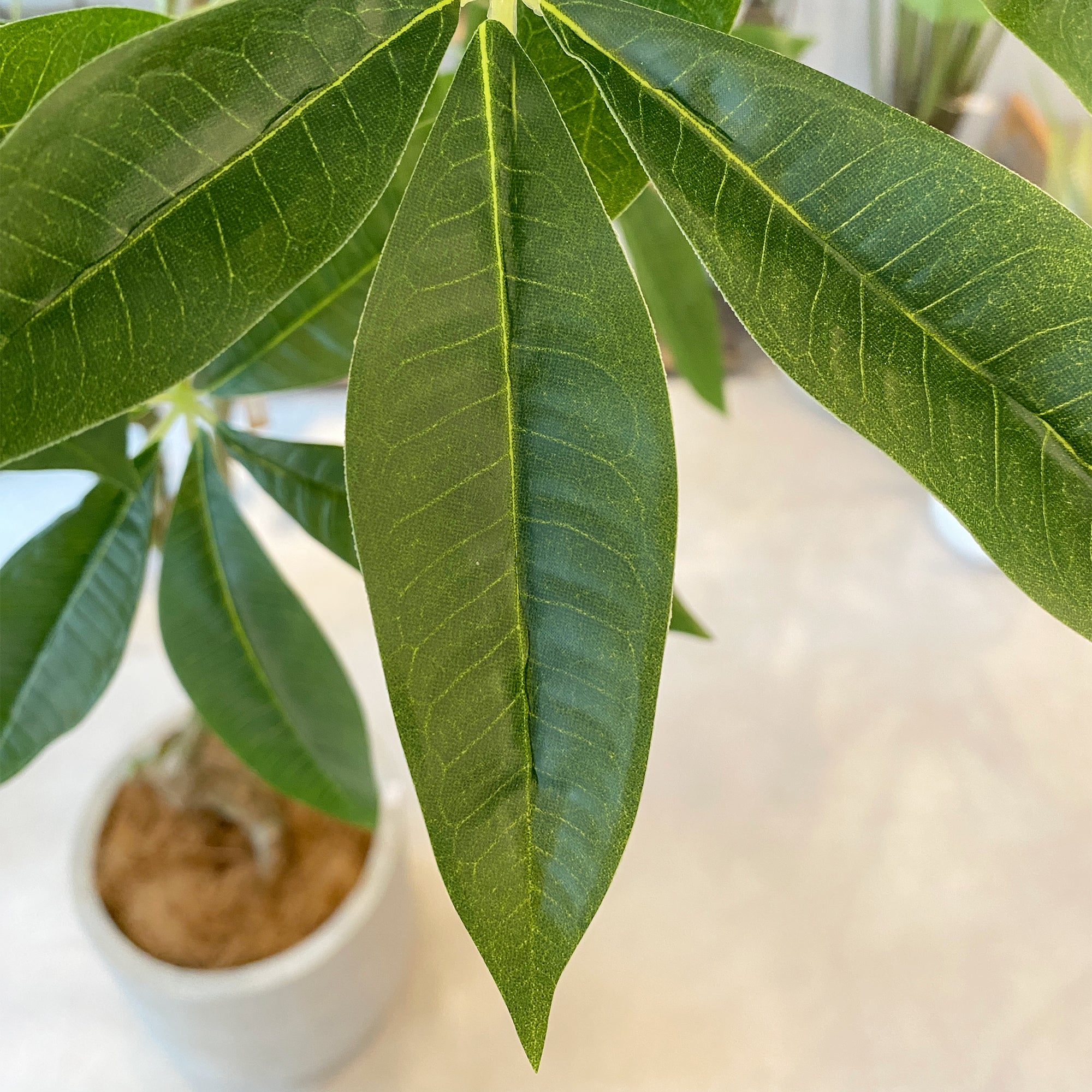 パキラ 180cm - フェイクグリーン専用通販サイト – フェイクグリーン