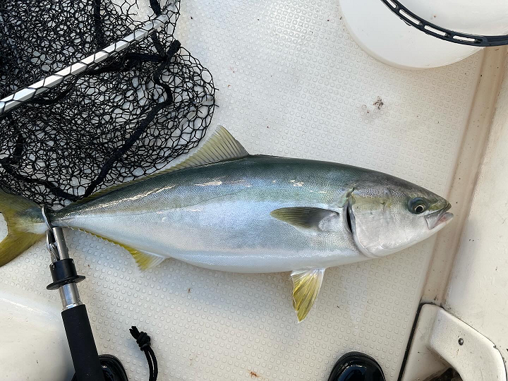 浅草釣具 キャスティングロッド 浅草βx 72f-1535g 浅草釣具