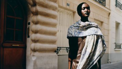 カレジェアン 《ヌーベル・シテ・カヴァリエール》 | Hermès