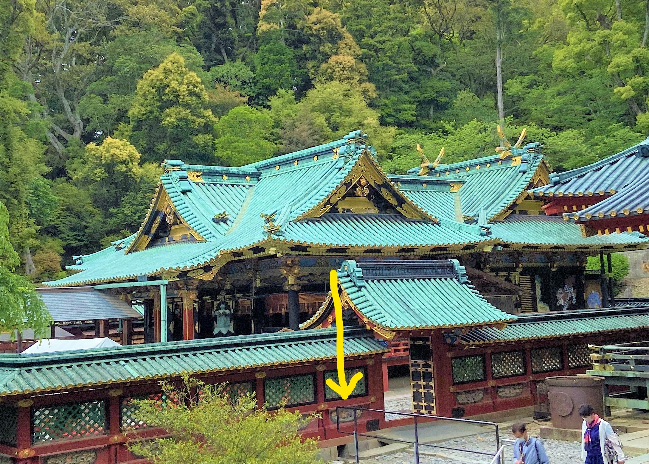 連載～静岡の歴史を学ぼう125】Karajishi Botan—Chinese Lion and