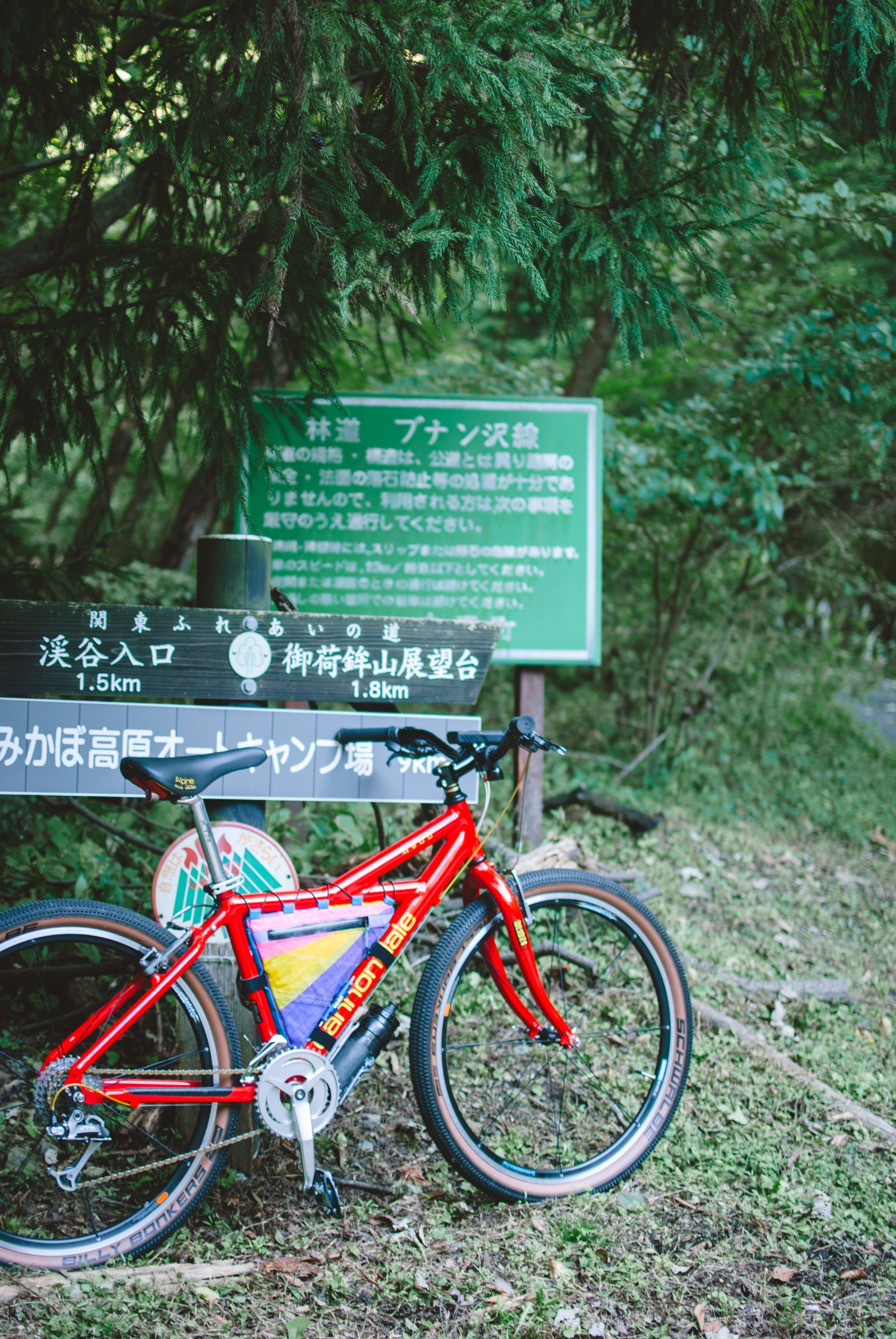 Old MTBで行く。関東一の長距離林道「御荷鉾スーパー林道」 前編｜Polak
