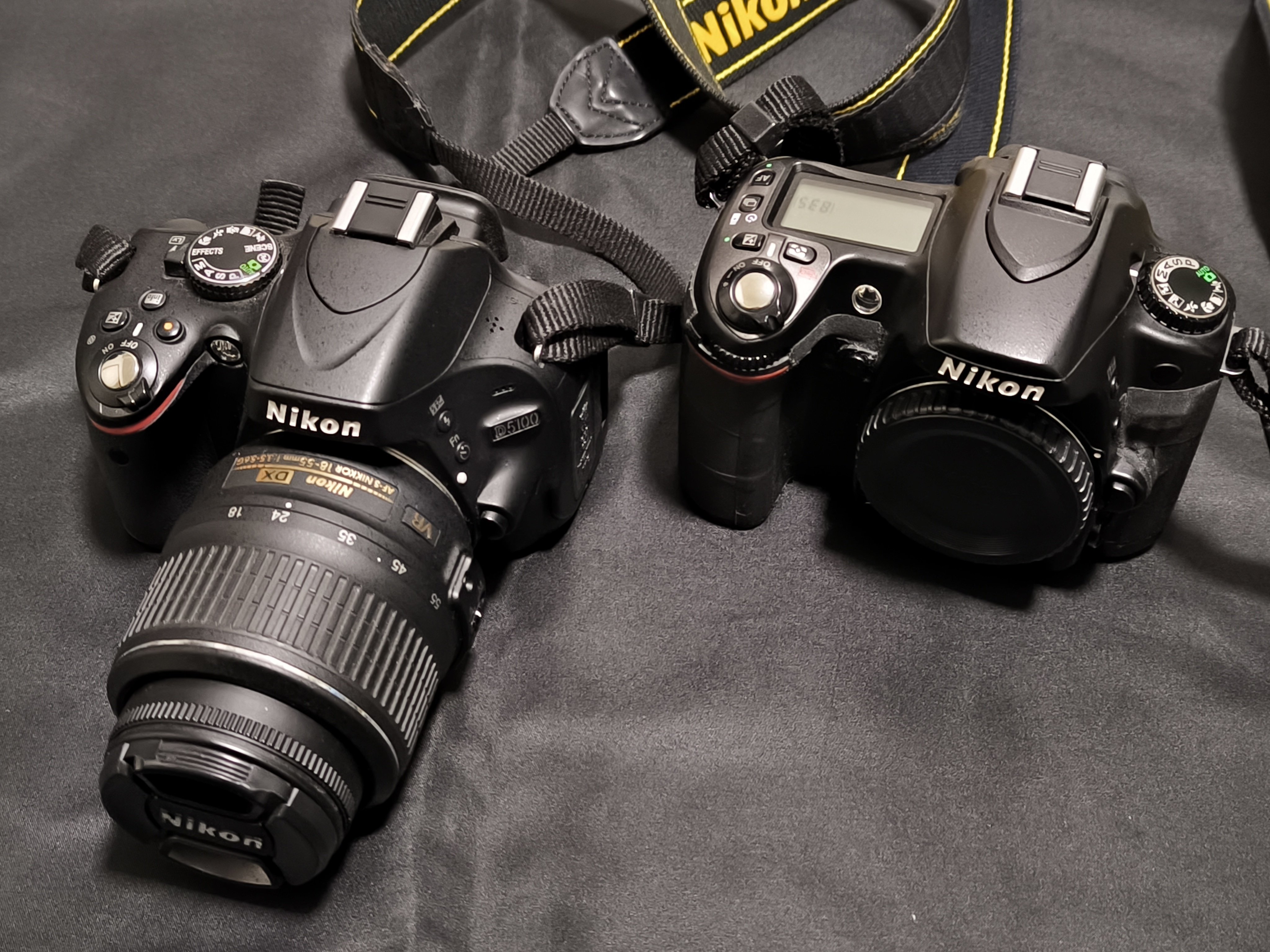 愛カメラ遍歴 Vol.5 ： Nikon D5100 スタンダードな軽量カメラ｜Tarciel