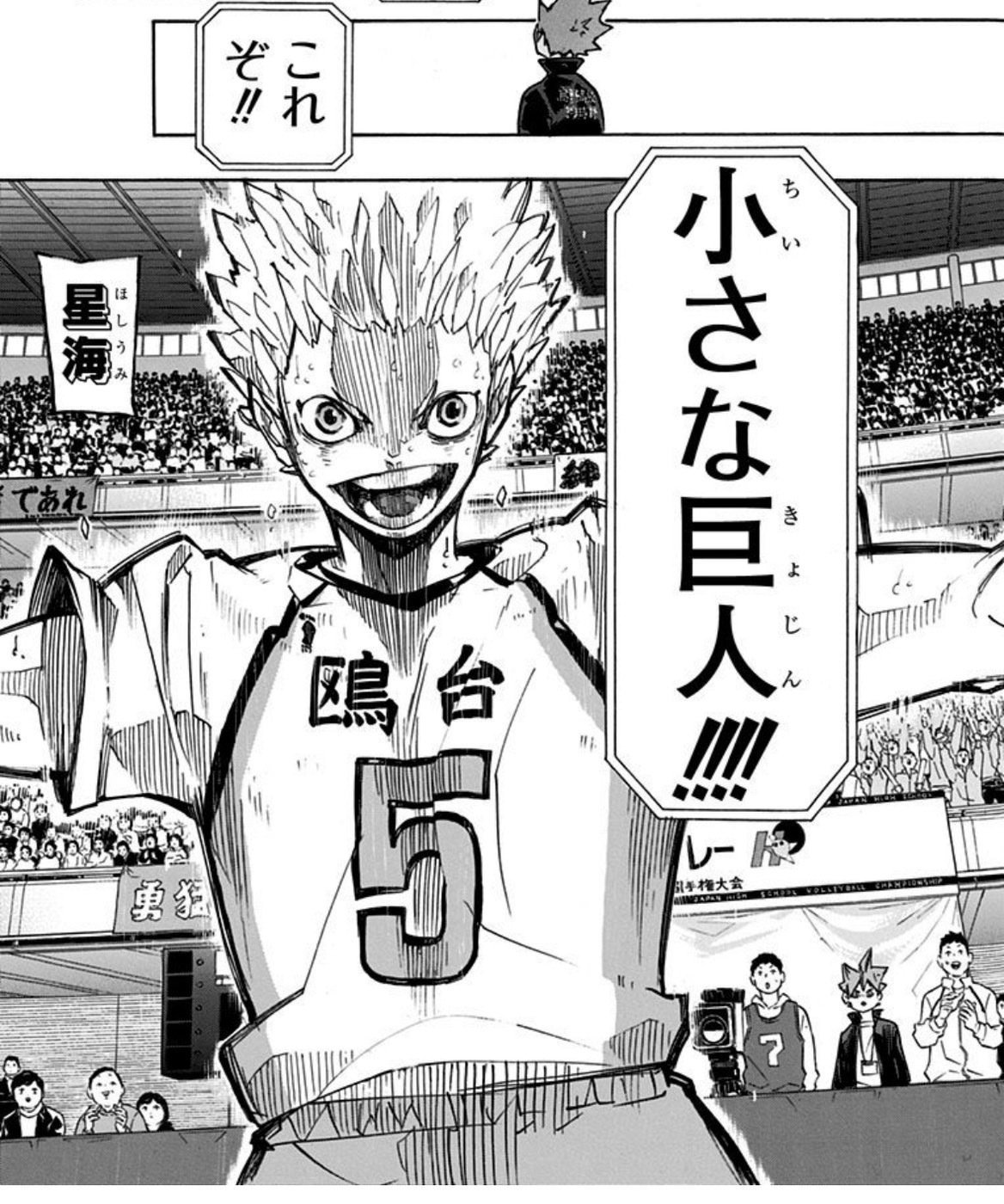 ハイキュー!!】作中で最も不遇なキャラ、「中島猛」説｜小惑星の漫画考察