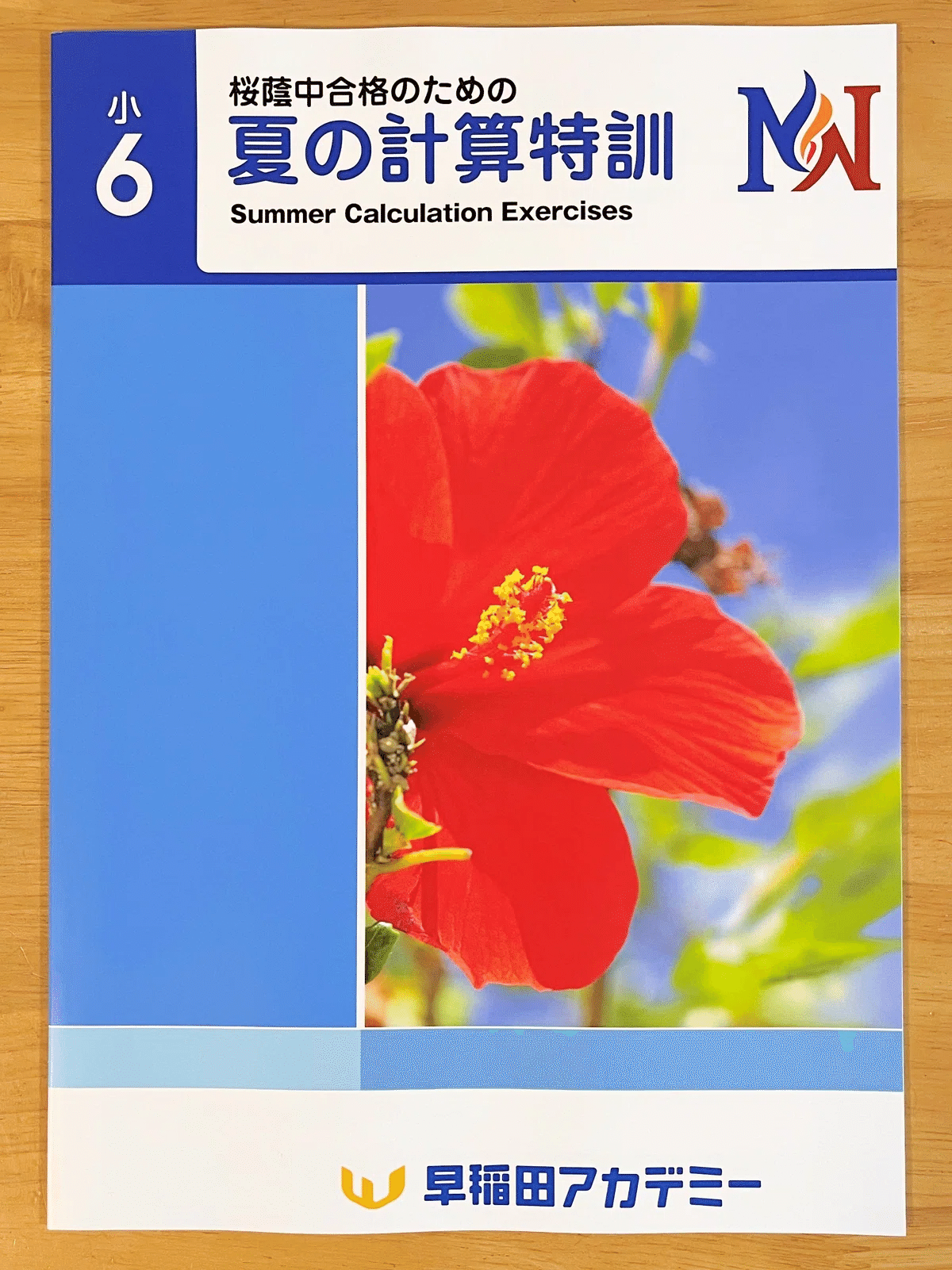 中学受験】小6α1娘のサピックス夏期講習徹底攻略【夏の学習日記 その3