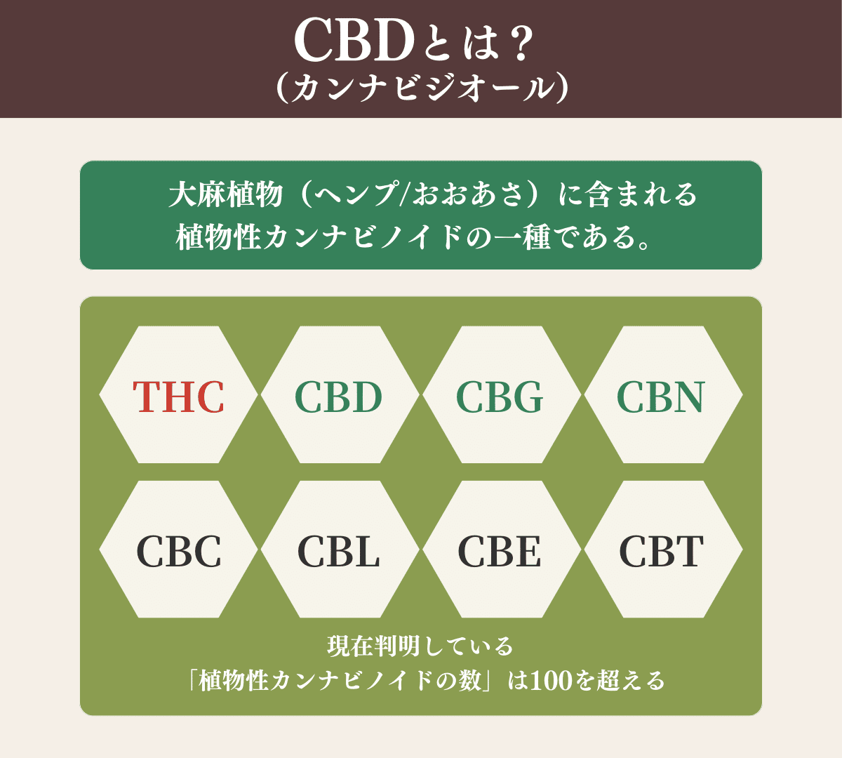 CBDオイルとは？毎日使うからこそ知りたい基本の知識｜麻市 ASA-ICHI