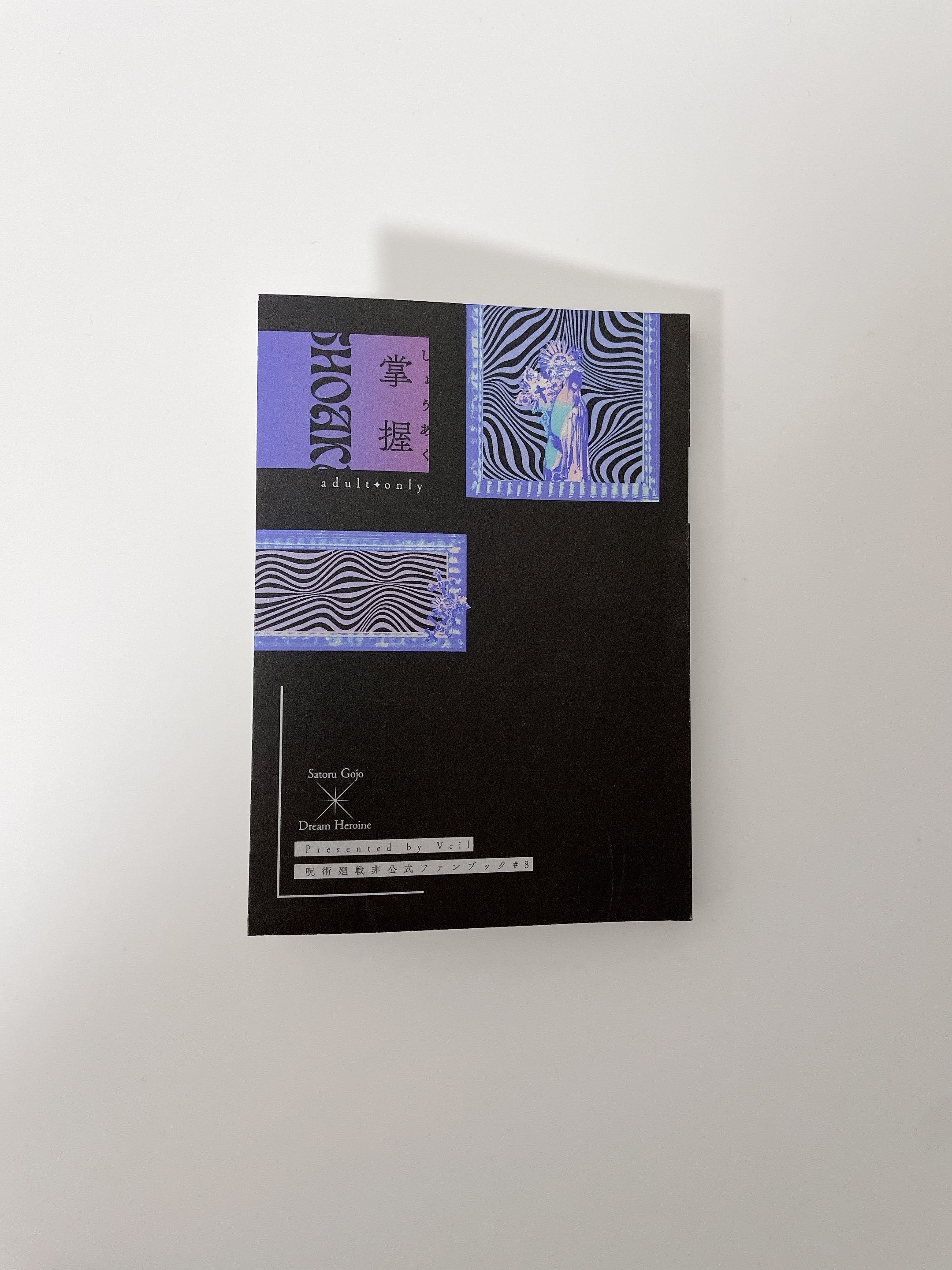 同人誌の装丁まとめ #2024｜印田