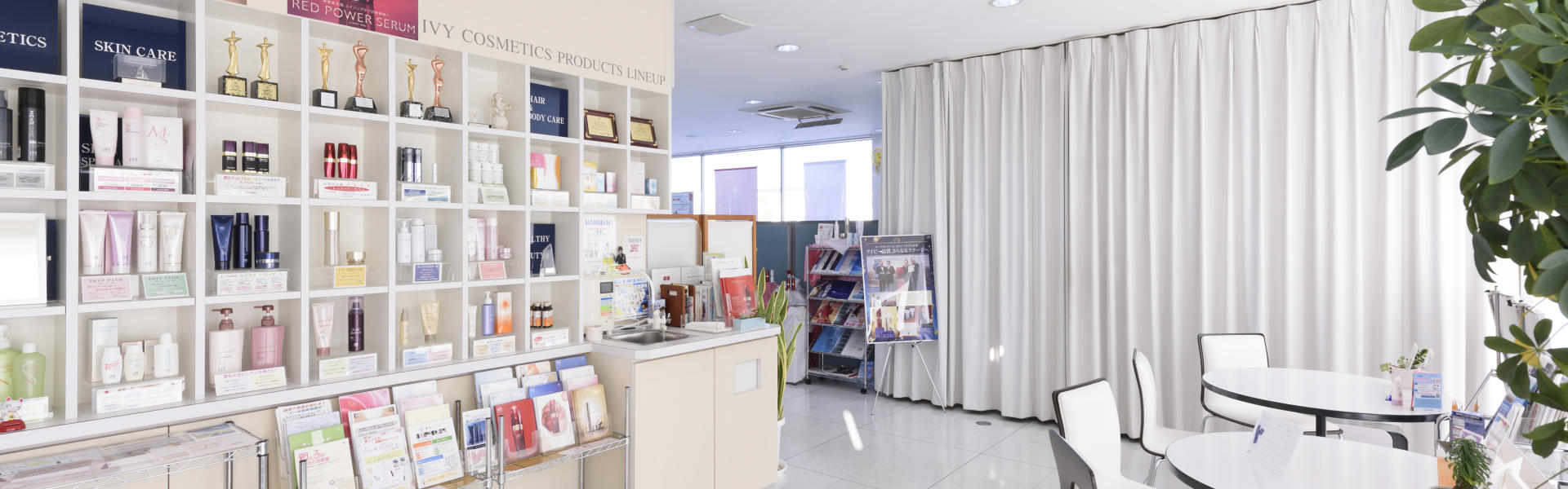 スレンディ スタイル ジュースタイプ | 健康食品 | 商品紹介