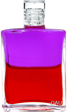 あなたの今日のオーラソーマタロット