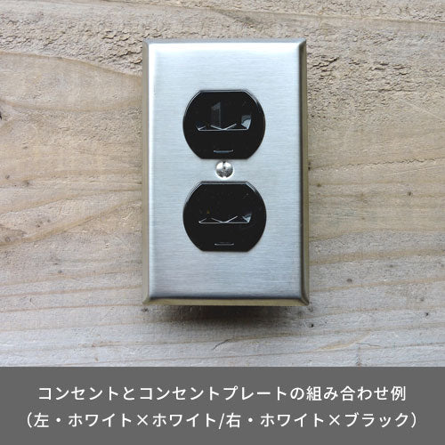 ステンレスヘアライン2口コンセントプレート | AXCIS ONLINE