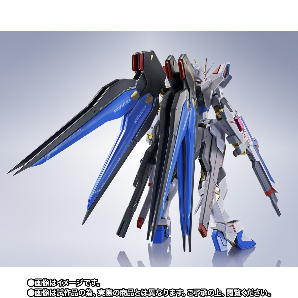 抽選販売】METAL ROBOT魂 ＜SIDE MS＞ ストライクフリーダムガンダム