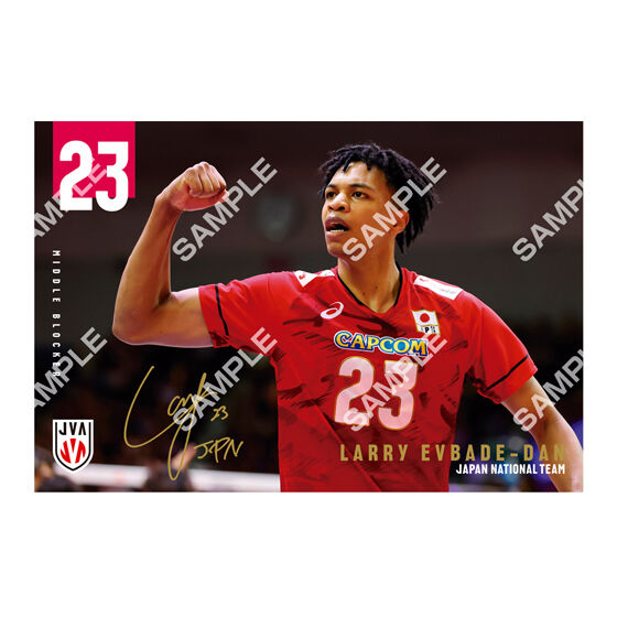 フラットガシャポン】バレーボール男子日本代表 ポストカード