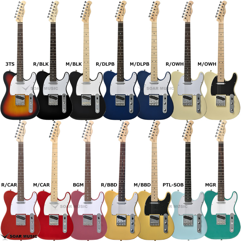 BTE-1 エレキギター・スタンダードセット (Bacchus / バッカス)