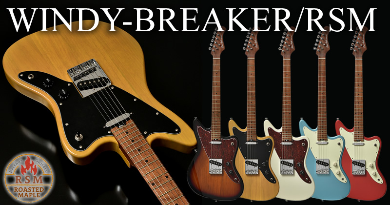 Global Series グローバルシリーズ エレキギター Bacchus バッカス