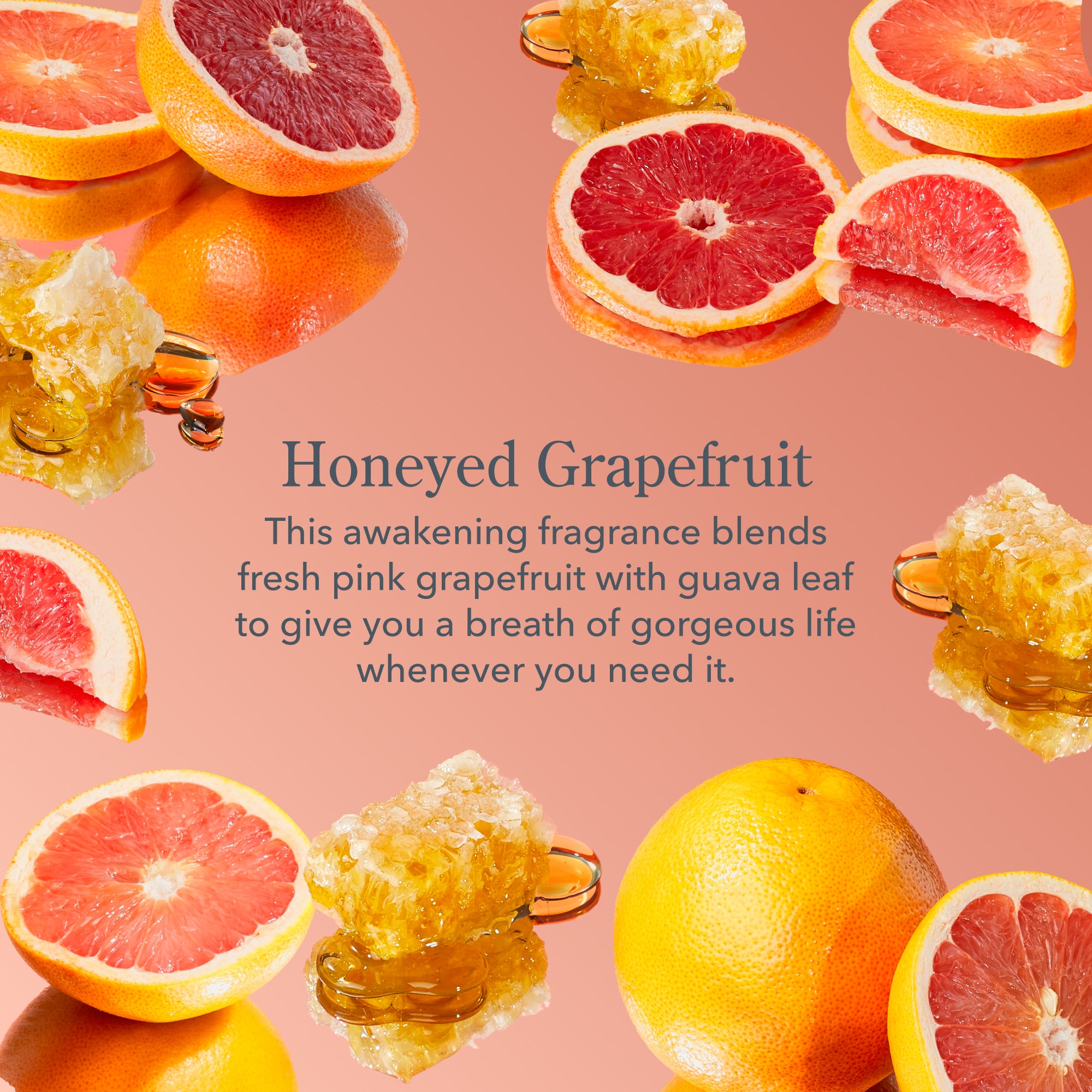 Honeyed Grapefruit 3-Pack Of Sheer Tinted Lip Balms