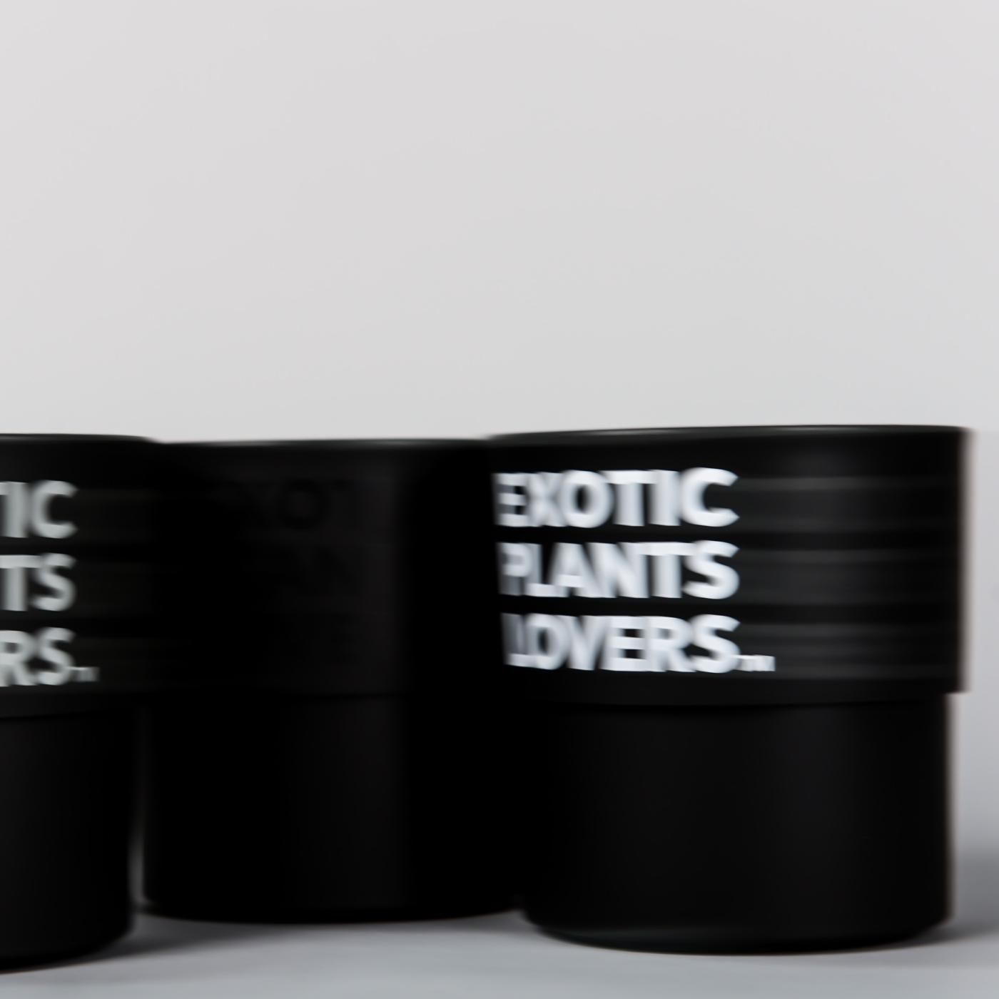 BOTANIZE PLA POT EXOTIC PLANTS LOVERS 3pcs(1set) φ9.5cm