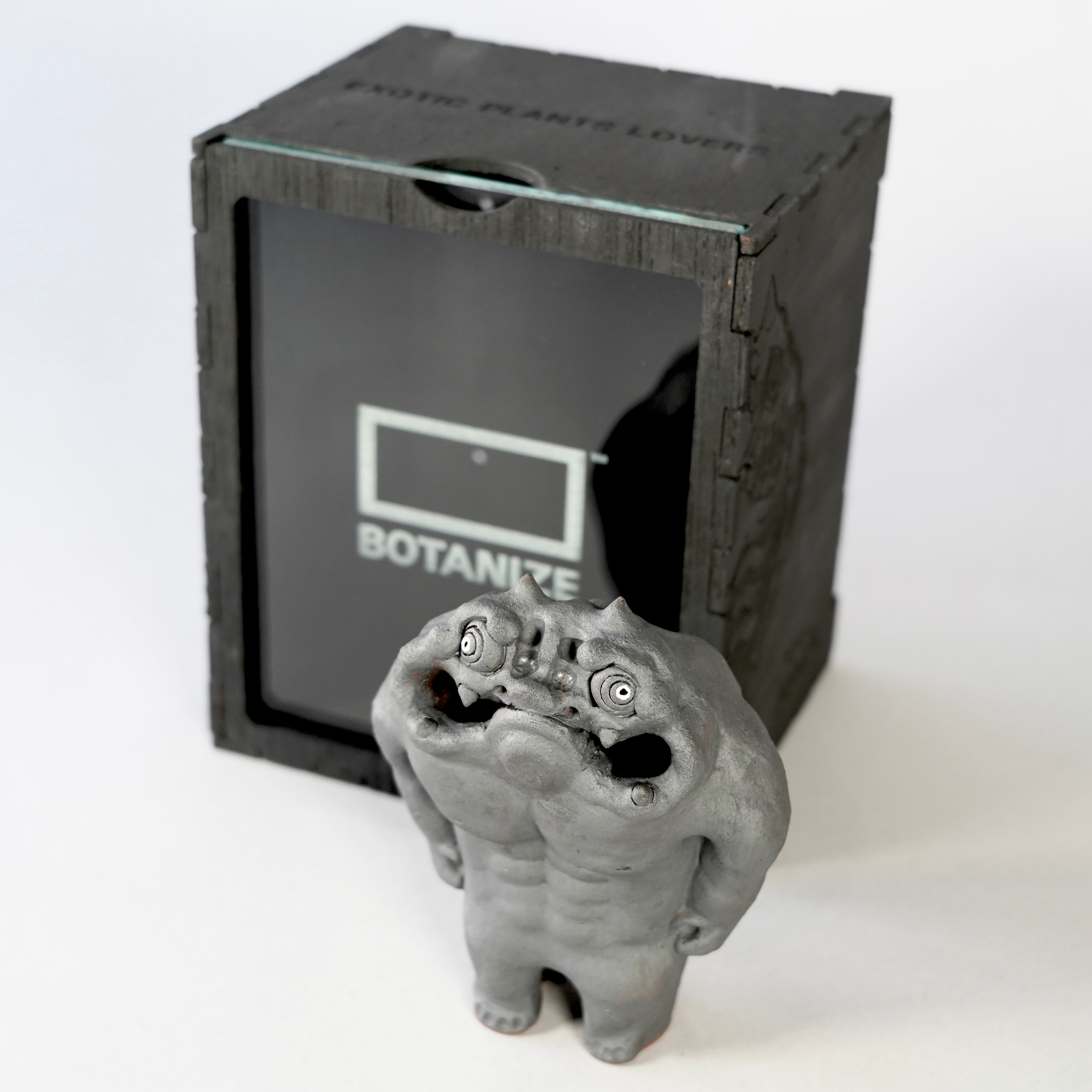 TENDOBOTANICAL 「鬼ん形」 – BOTANIZE