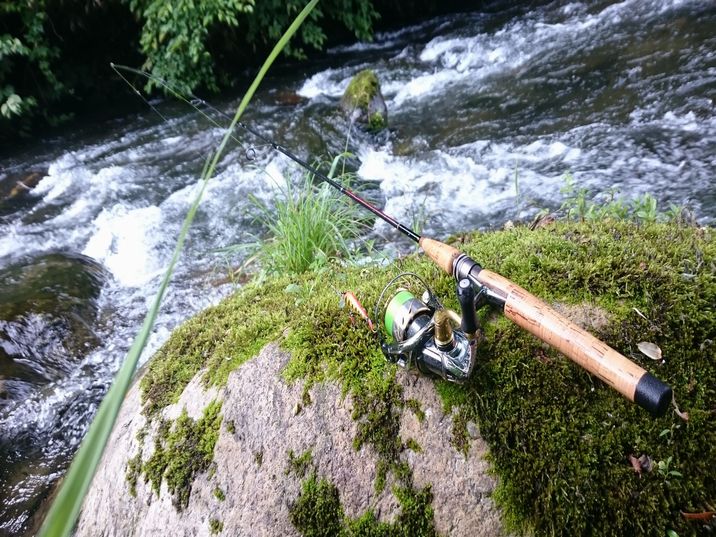 M&N ストリームスペチアーレボロン SS-410 MN-TZ M&N トゥイッチン